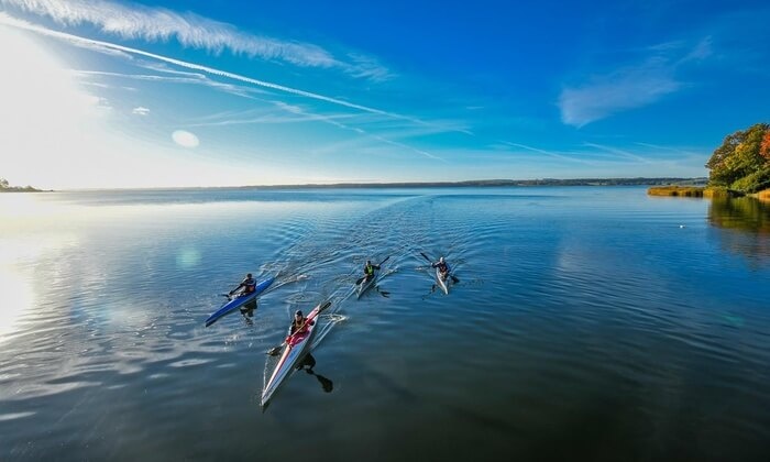 Horsens Fjord & Harbor Experience